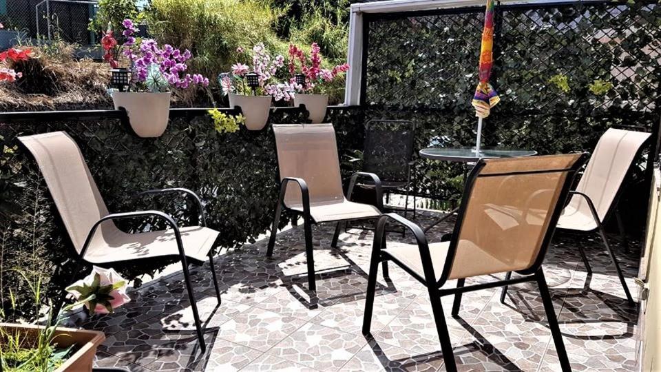 Casa Echavarria San José Eksteriør billede